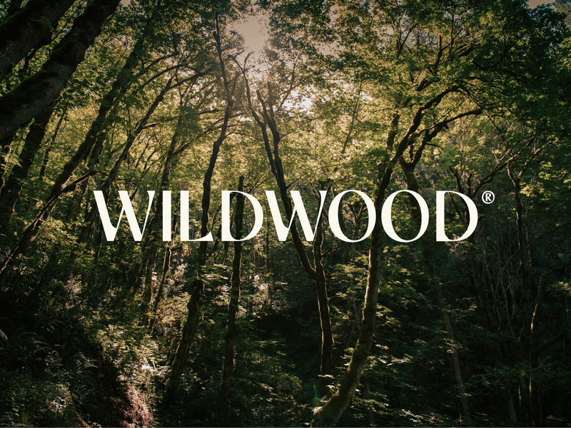 How Wildwood Turns Forest Walks Into Confection