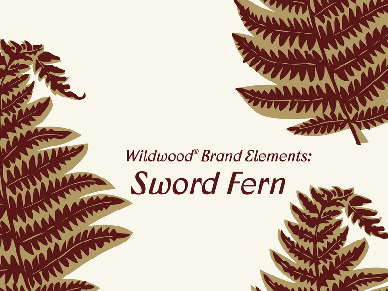 Wildwood® Brand Elements: Sword Fern