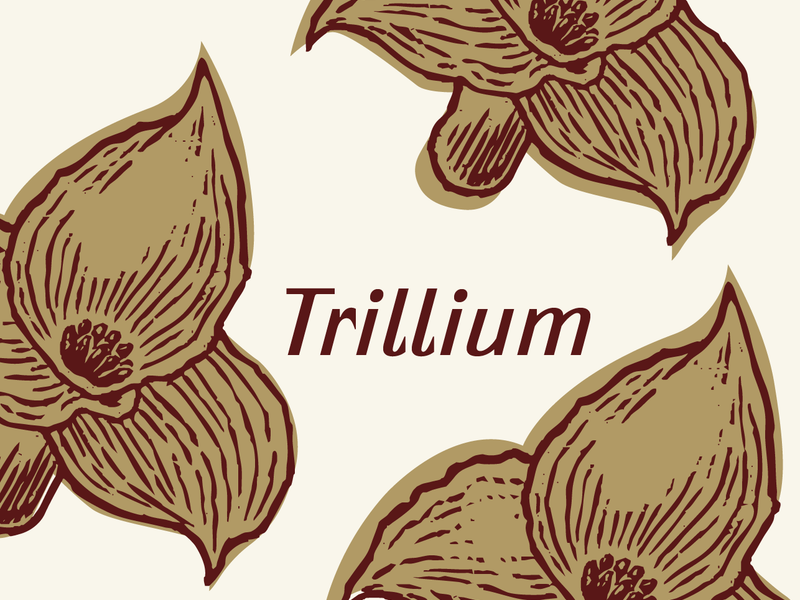 Wildwood® Brand Elements: Trillium