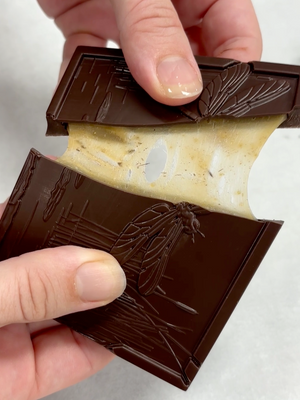 Woodland Collection Cardamom and Honey with Sea Salt Caramel