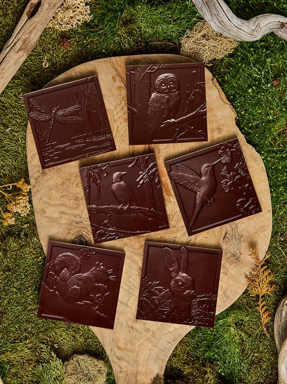 Wildwood Chocolate | Award Winning Handcrafted Chocolate