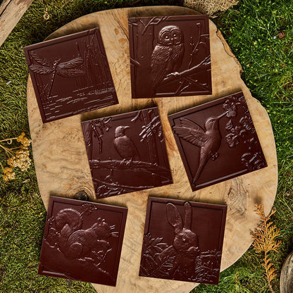 Berry Berry – Woodland Collection