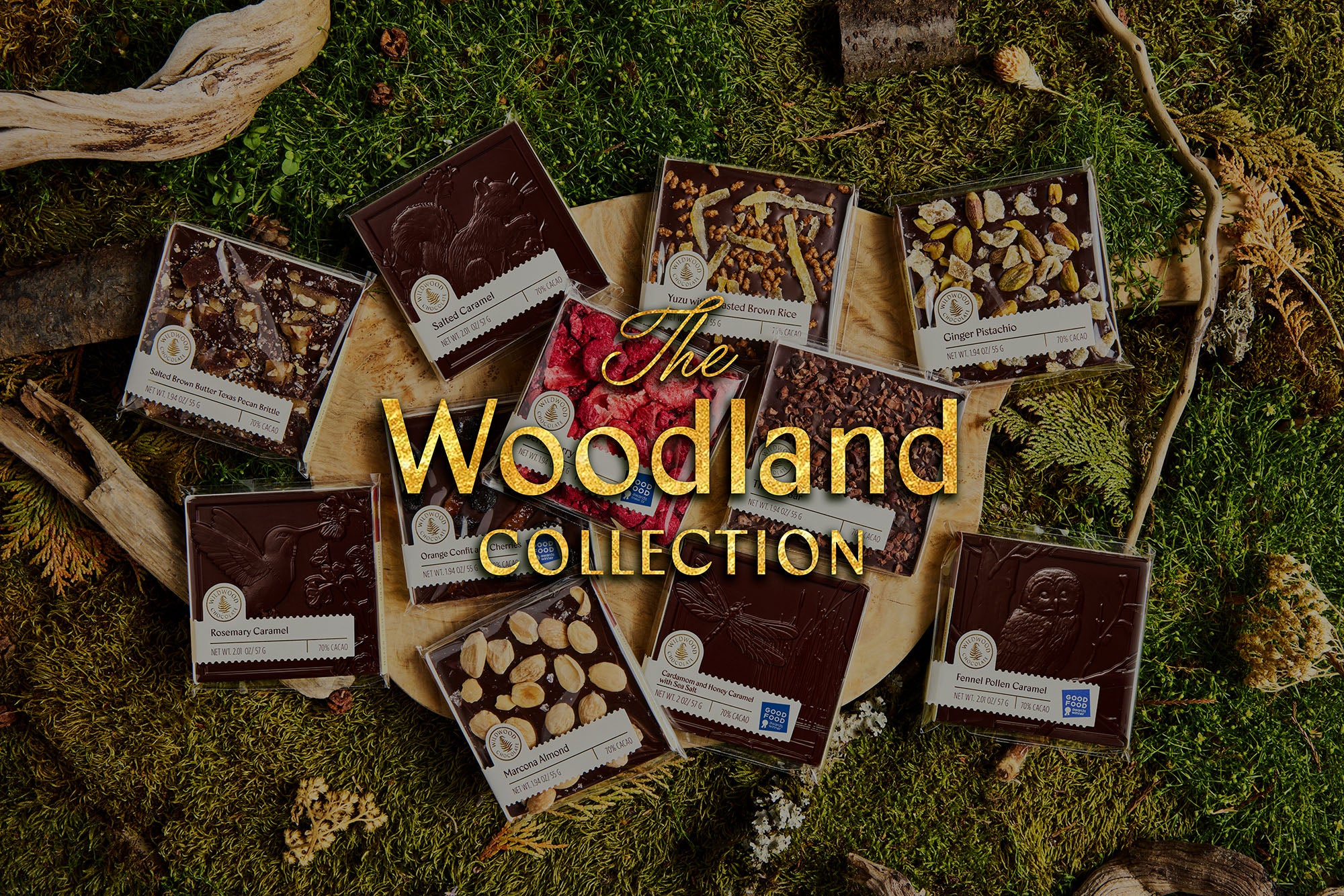 Wildwood Chocolate | Award Winning Handcrafted Chocolate