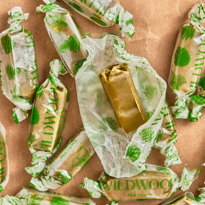 Wickedly Good Bundle